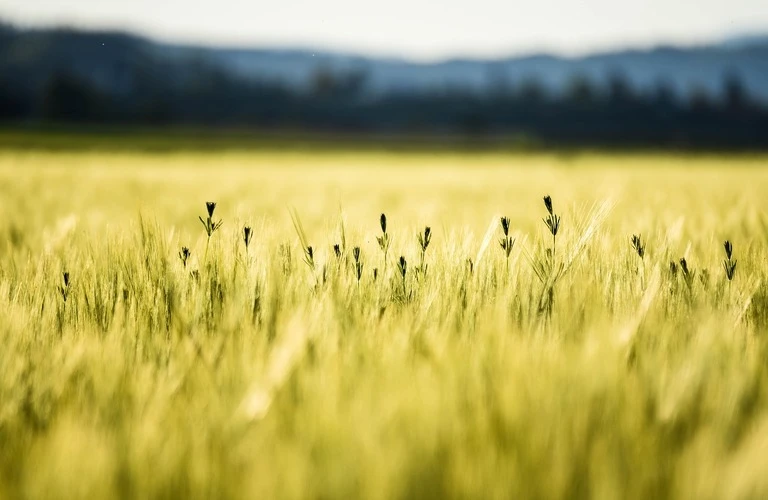 空き家はお任せ｜岐阜の不用品回収ならGood eco