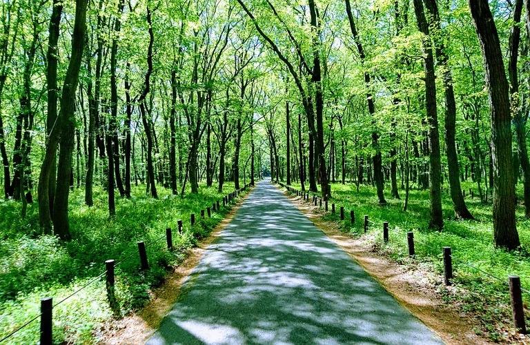 土日祝日も対応できます｜愛知県一宮市の生前整理ならならGood eco